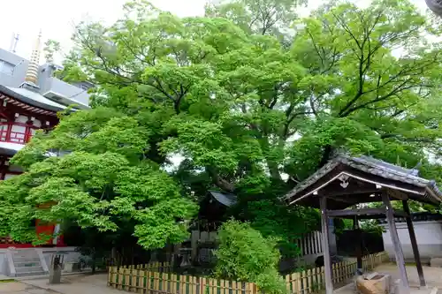 大聖勝軍寺の自然