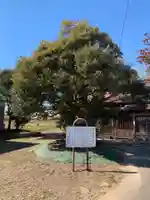 観音堂(千葉県)