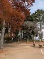 西郷神社(栃木県)