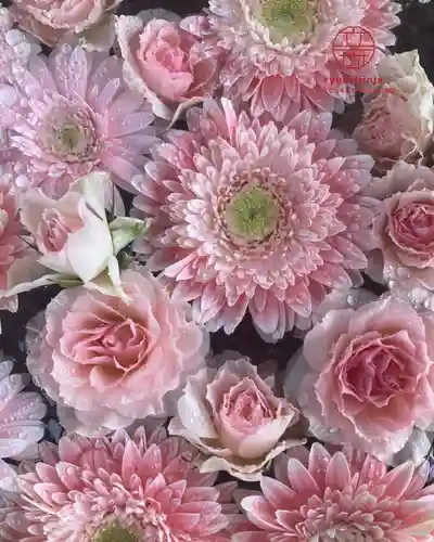 立志神社(滋賀県)