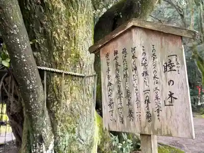 賀茂別雷神社（上賀茂神社）(京都府)