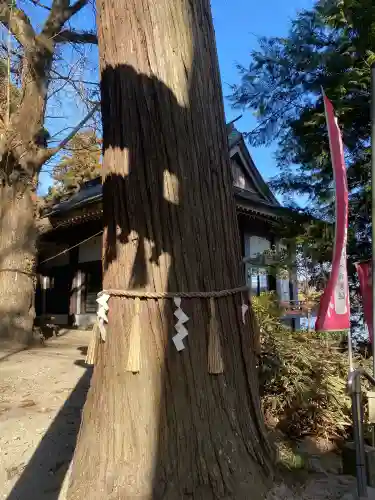高瀧神社の{uncategorized: "未分類", other: "その他", undefined: "問題あり", building: "その他建物", grave: "お墓", sacred_gate: "鳥居", guardian: "狛犬", statue: "像", buddha: "仏像", history: "歴史", nature: "自然", garden: "庭園", animal: "動物", pagoda: "塔", temizu: "手水舎", mountain_gate: "山門・神門", sanctuary: "本殿・本堂", subordinate: "末社・摂社", art: "芸術", scenery: "景色", jizo: "地蔵", ema: "絵馬", goshuin: "御朱印", omikuji: "おみくじ", items: "授与品その他", amulet: "お守り", goshuincho: "御朱印帳", eats: "食事", festival: "お祭り", votive_dance: "神楽", shichigosan: "七五三参", wedding: "結婚式", experience: "体験その他", initially: "初詣", around: "周辺", anti_infection: "感染症対策"}