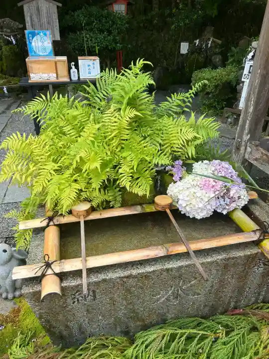 出雲大神宮(京都府)