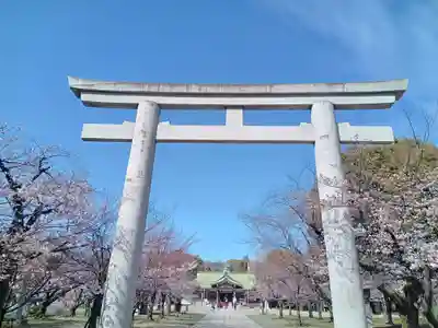 大阪護國神社の鳥居