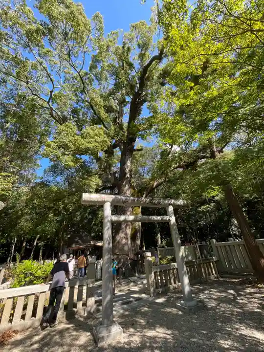 伊弉諾神宮(兵庫県)