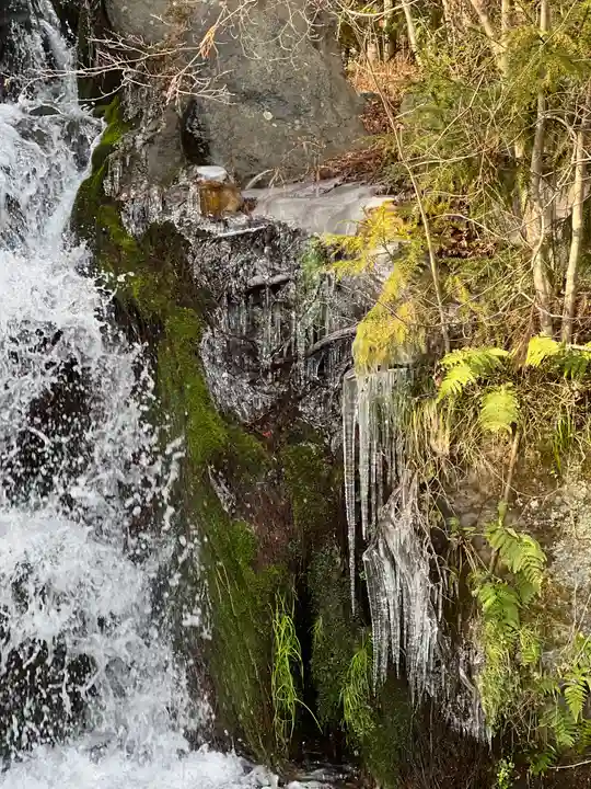 富士山東口本宮 冨士浅間神社の自然