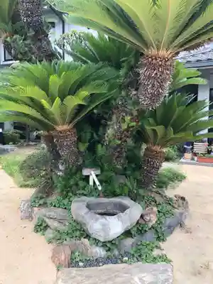 浄厳寺の手水舎