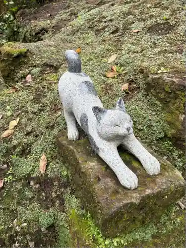 猫神社(鹿児島県)