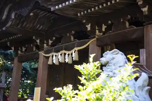 玉川神社の本殿・本堂