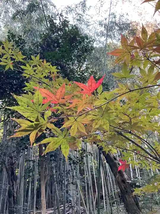 教林坊(滋賀県)
