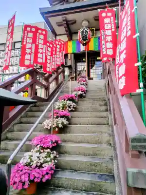 薬研堀不動院(川崎大師東京別院)の{uncategorized: "未分類", other: "その他", undefined: "問題あり", building: "その他建物", grave: "お墓", sacred_gate: "鳥居", guardian: "狛犬", statue: "像", buddha: "仏像", history: "歴史", nature: "自然", garden: "庭園", animal: "動物", pagoda: "塔", temizu: "手水舎", mountain_gate: "山門・神門", sanctuary: "本殿・本堂", subordinate: "末社・摂社", art: "芸術", scenery: "景色", jizo: "地蔵", ema: "絵馬", goshuin: "御朱印", omikuji: "おみくじ", items: "授与品その他", amulet: "お守り", goshuincho: "御朱印帳", eats: "食事", festival: "お祭り", votive_dance: "神楽", shichigosan: "七五三参", wedding: "結婚式", experience: "体験その他", initially: "初詣", around: "周辺", anti_infection: "感染症対策"}