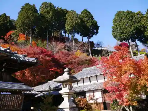 善峯寺の景色