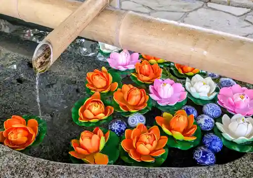 毛越寺(岩手県)