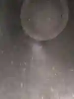 方広寺の{uncategorized: "未分類", other: "その他", undefined: "問題あり", building: "その他建物", grave: "お墓", sacred_gate: "鳥居", guardian: "狛犬", statue: "像", buddha: "仏像", history: "歴史", nature: "自然", garden: "庭園", animal: "動物", pagoda: "塔", temizu: "手水舎", mountain_gate: "山門・神門", sanctuary: "本殿・本堂", subordinate: "末社・摂社", art: "芸術", scenery: "景色", jizo: "地蔵", ema: "絵馬", goshuin: "御朱印", omikuji: "おみくじ", items: "授与品その他", amulet: "お守り", goshuincho: "御朱印帳", eats: "食事", festival: "お祭り", votive_dance: "神楽", shichigosan: "七五三参", wedding: "結婚式", experience: "体験その他", initially: "初詣", around: "周辺", anti_infection: "感染症対策"}