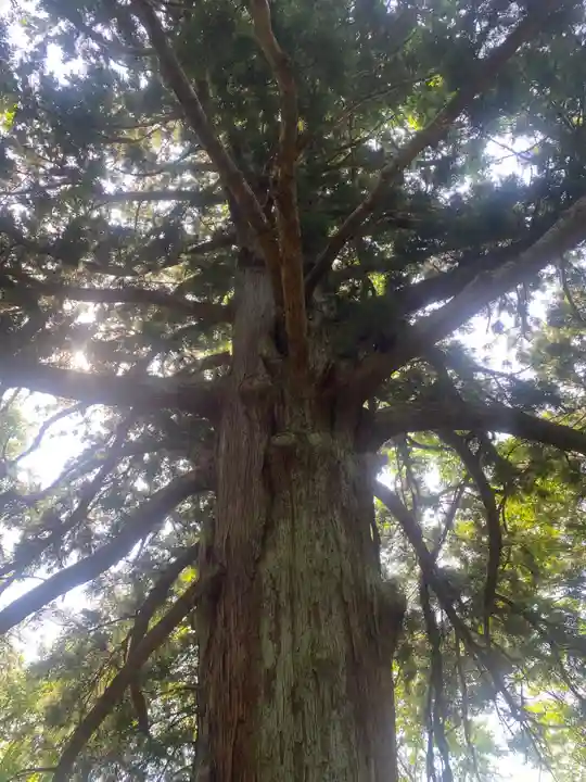 白河神社(福島県)