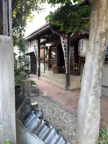 金龍寺の本殿・本堂