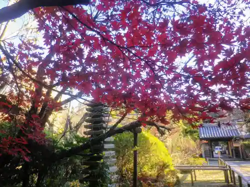 浄光明寺の庭園