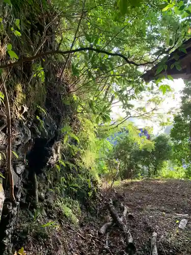 神社（名称不明）の自然
