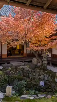 興聖寺(京都府)