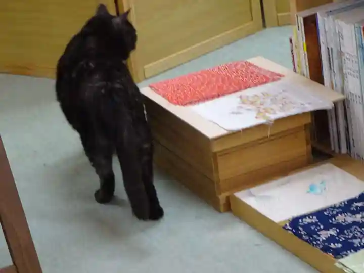 弥生神社の動物