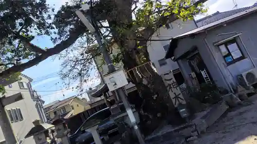 櫟谷七野神社(京都府)