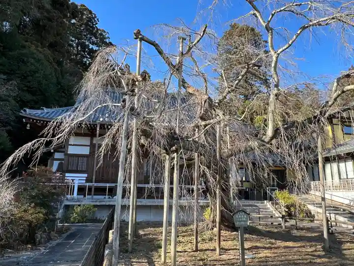 太山寺(栃木県)