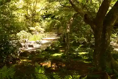 宝筐院(京都府)