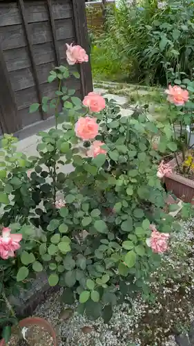 香雪院(京都府)