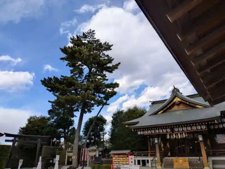 中野沼袋氷川神社(東京都)