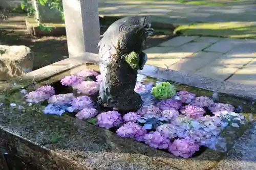 神炊館神社 ⁂奥州須賀川総鎮守⁂の手水