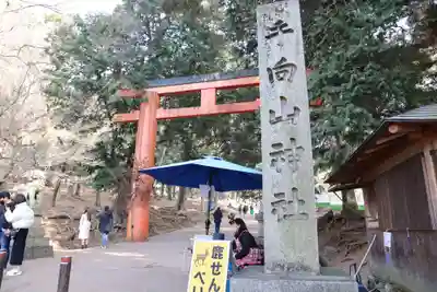 手向山八幡宮(奈良県)