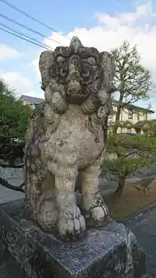 藤崎八旛宮の狛犬