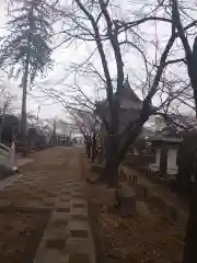 柳沢寺の自然