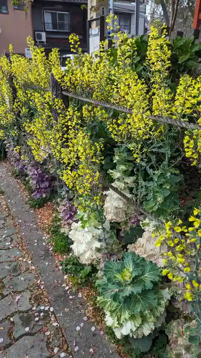 六孫王神社(京都府)