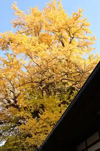 瑞応寺(愛媛県)