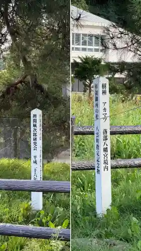 落部八幡宮(北海道)