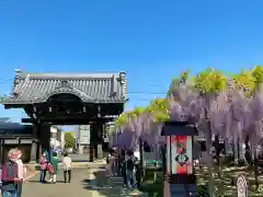 竹鼻別院の山門