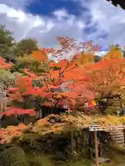 今熊野観音寺(京都府)