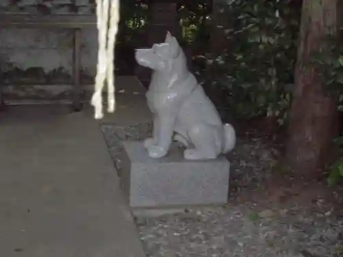 座間神社の狛犬