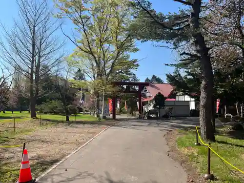 多賀神社の鳥居
