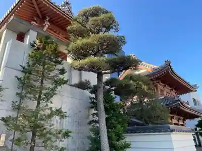 円徳寺(徳島県)