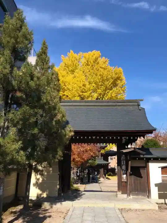 飛騨国分寺の山門・神門