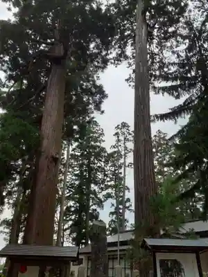 八坂神社のその他建物