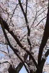 長岡天満宮の自然