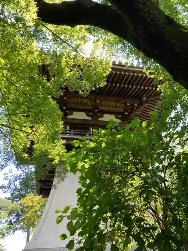 高幡不動尊　金剛寺のその他建物