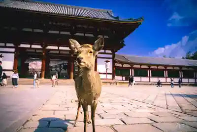 東大寺(奈良県)