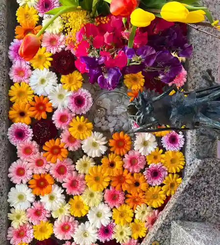 札幌諏訪神社の手水