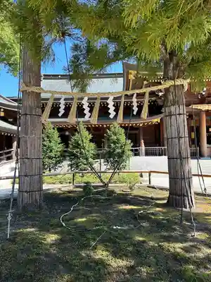 寒川神社(神奈川県)
