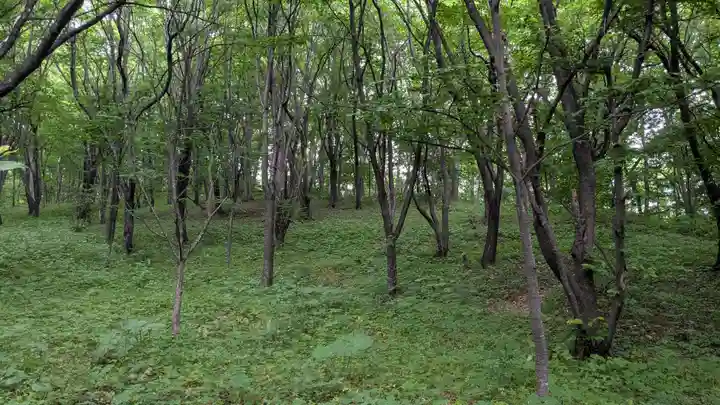 新得神社の自然