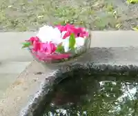 天疫神社(福岡県)